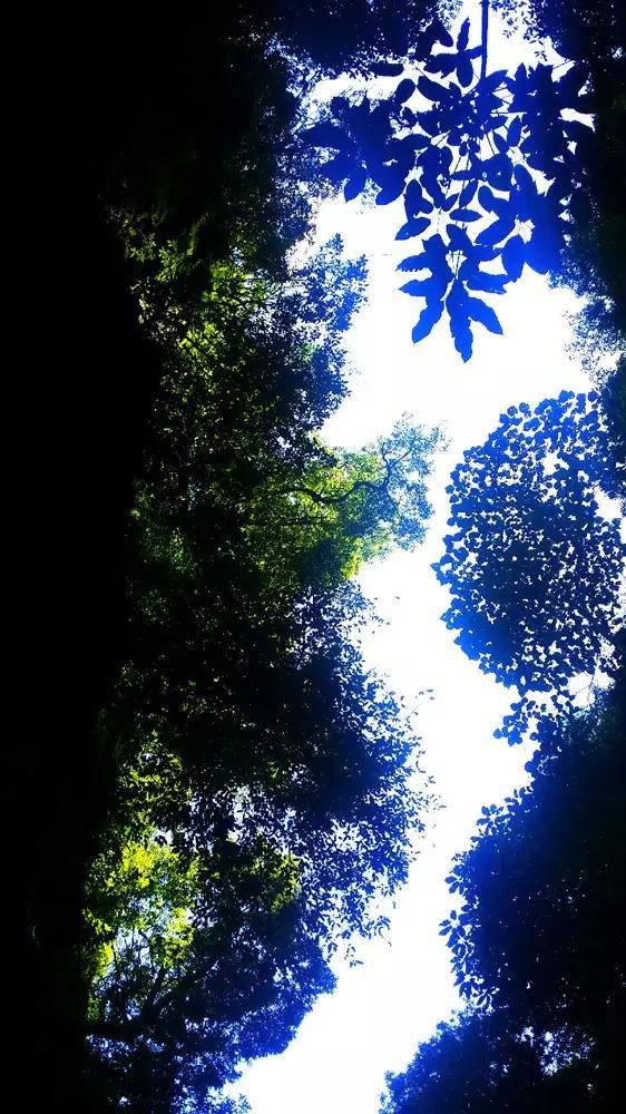 机智问答网页-解答你要问的微信支付可以免费提现了,攻略拿好,不谢问题